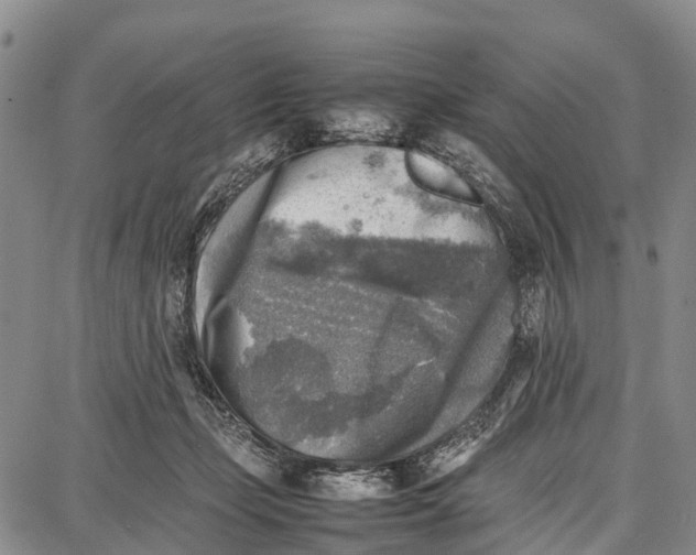 X0000087050365200705091141