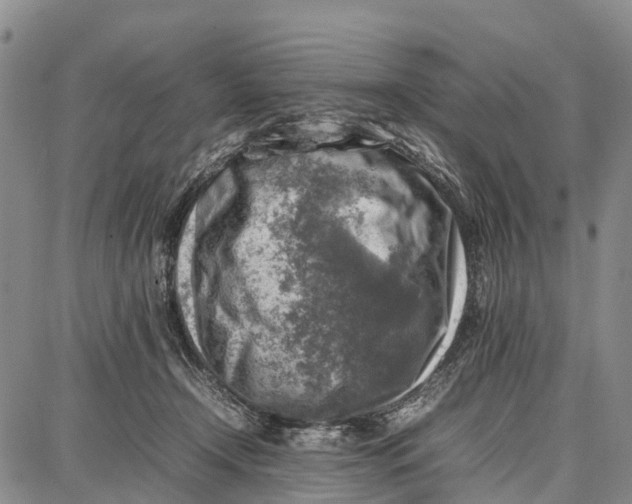 X0000087050366200705091141