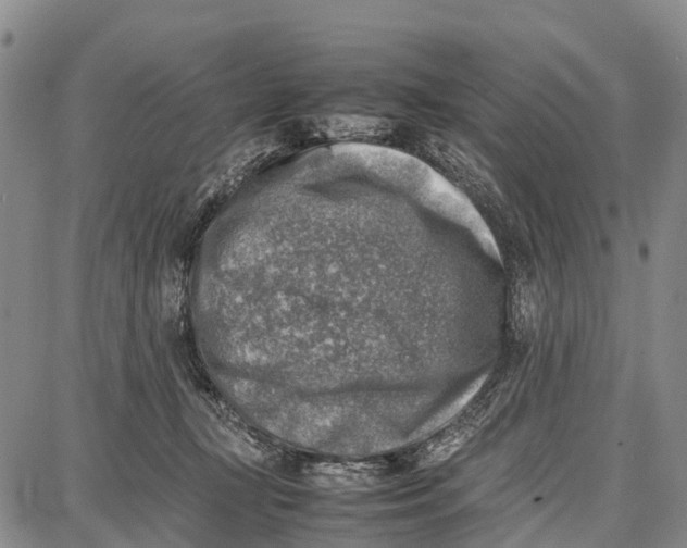 X0000087050367200705091141