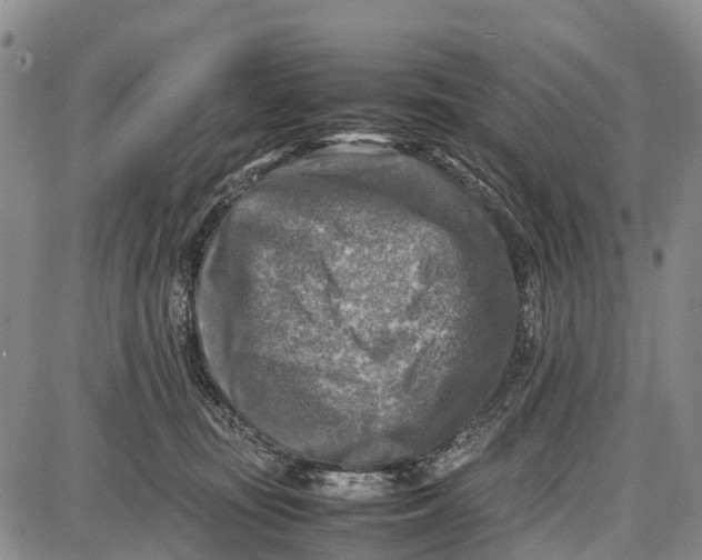 X0000087050371200705091141