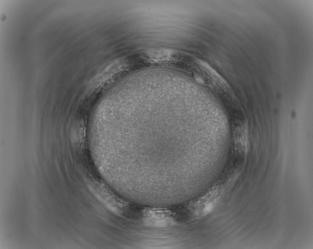 X0000087050372200705091141