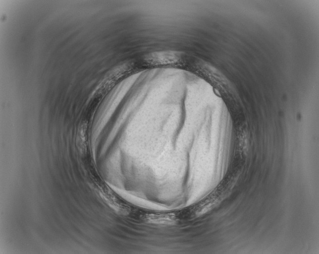 X0000087050373200705091141