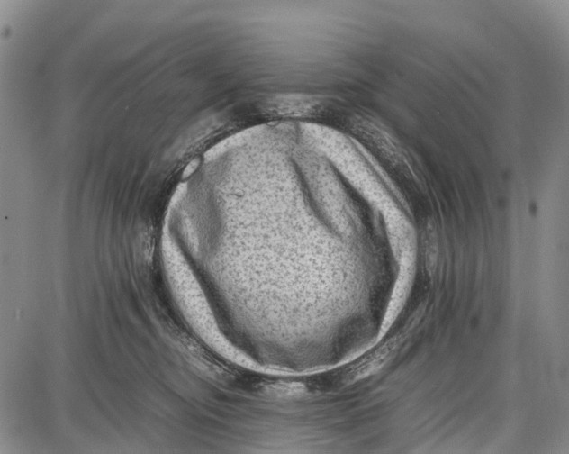 X0000087050374200705091141