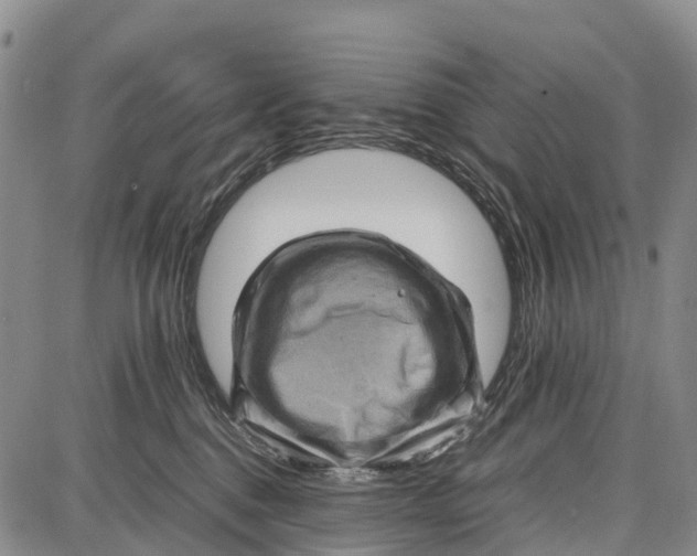 X0000087050376200705091142