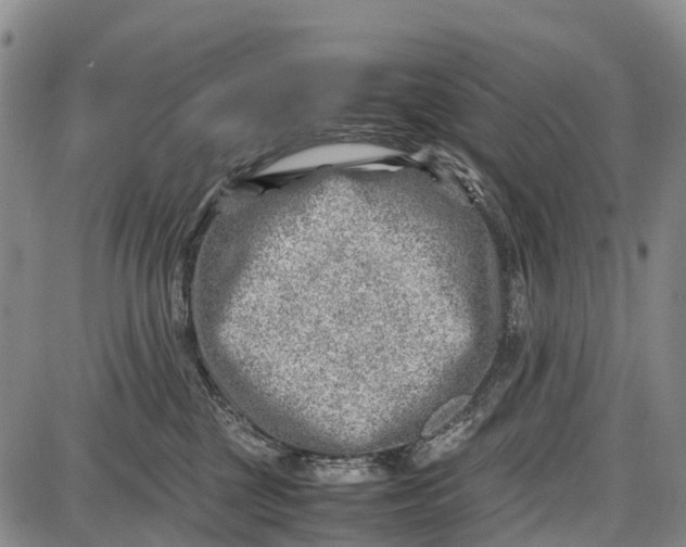 X0000087050377200705091142