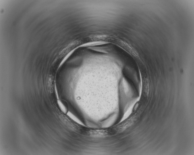 X0000087050378200705091142