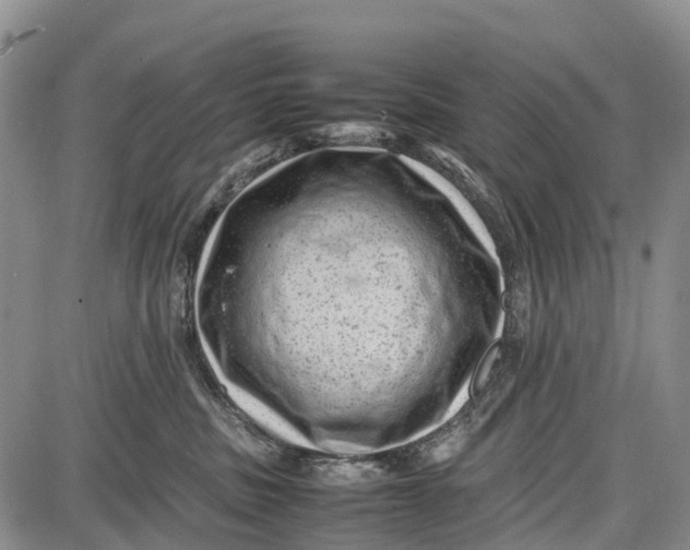 X0000087050379200705091142