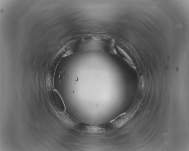 X0000087050380200705091142