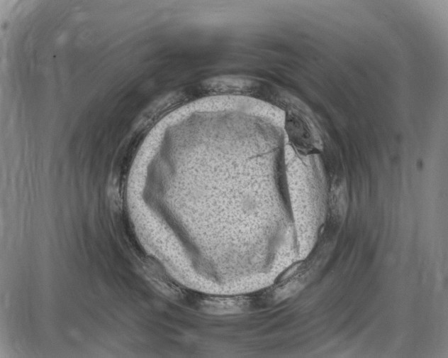 X0000087050381200705091142