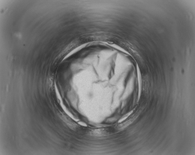 X0000087050382200705091142