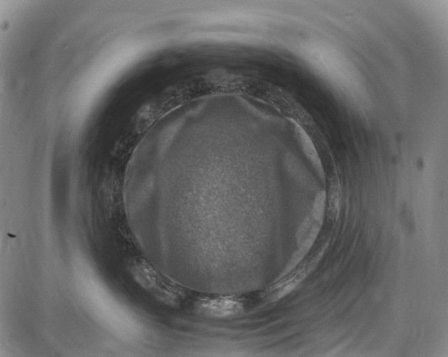 X0000087050383200705091142