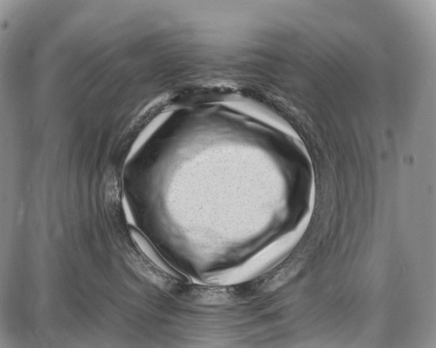 X0000087050384200705091142