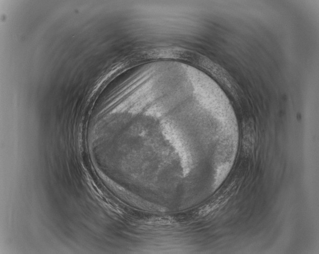 X0000087050386200705091141