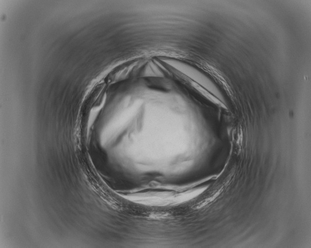 X0000087050388200705091141