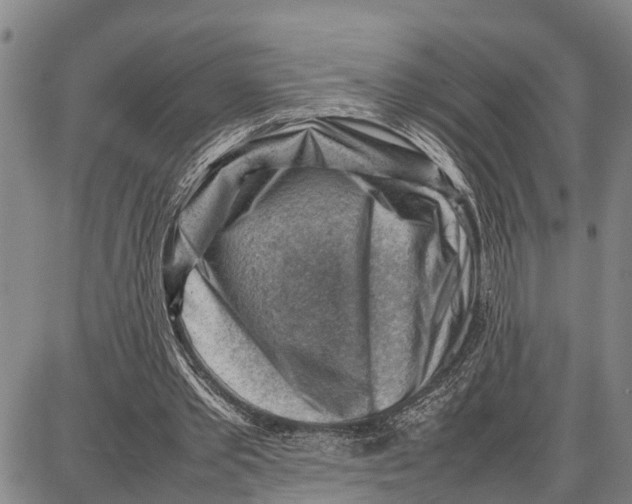 X0000087050389200705091141