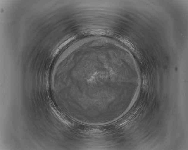 X0000087050390200705091141