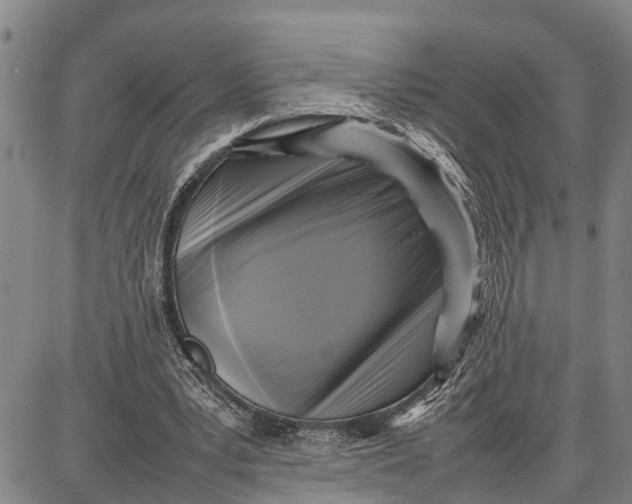 X0000087050391200705091141