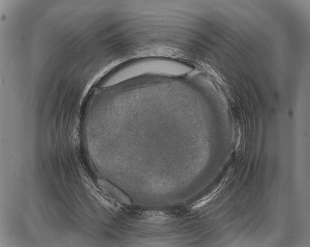 X0000087050392200705091141