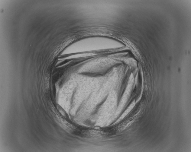 X0000087050393200705091141