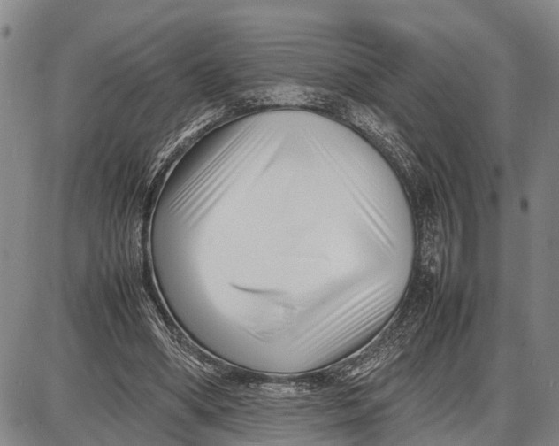 X0000087050394200705091141