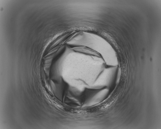 X0000087050395200705091141