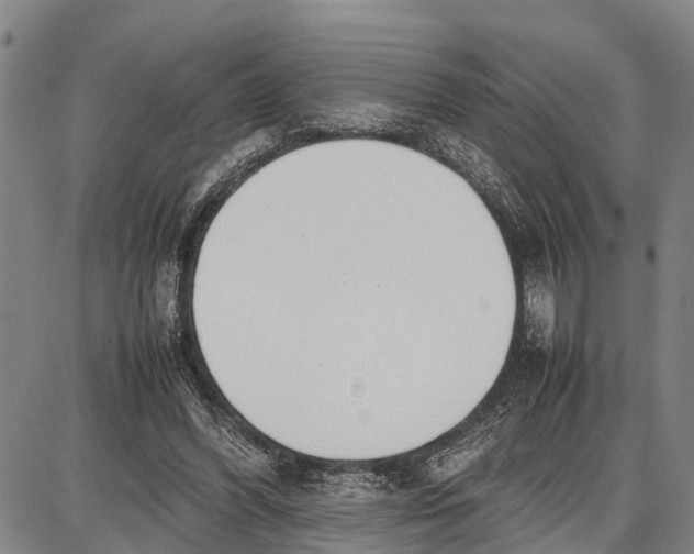 X0000087050396200705091141