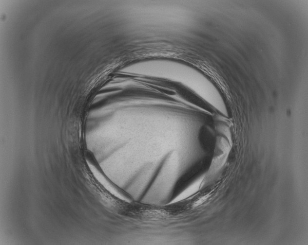 X0000087050397200705091141