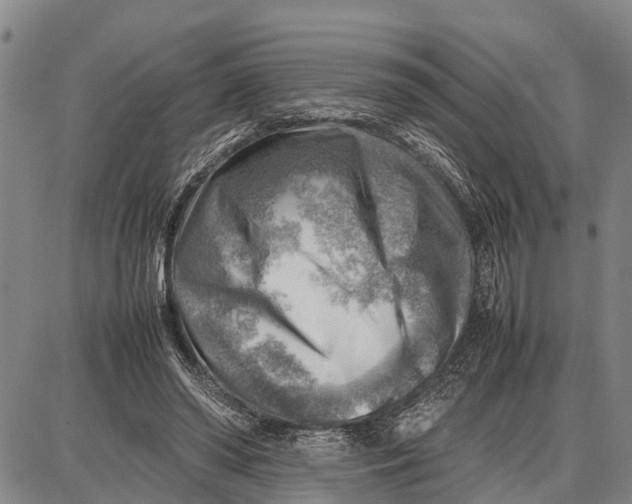 X0000087050398200705091141