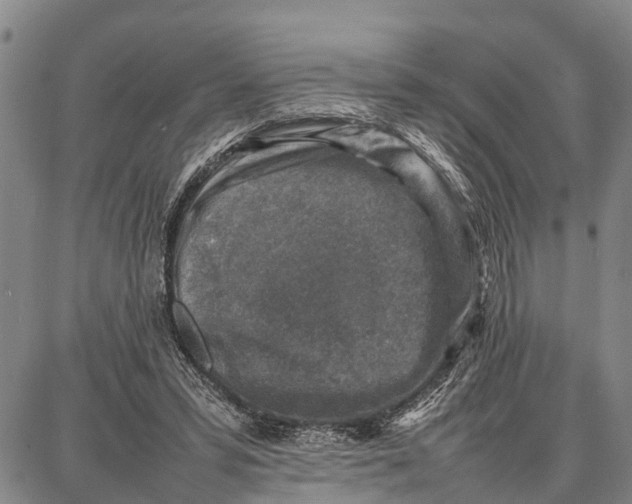 X0000087050399200705091141