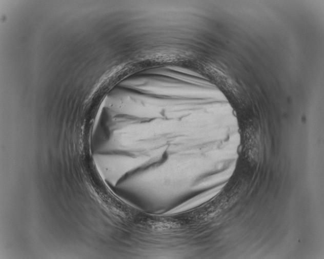 X0000087050400200705091141