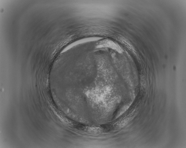 X0000087050401200705091141