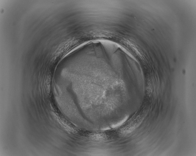 X0000087050402200705091141