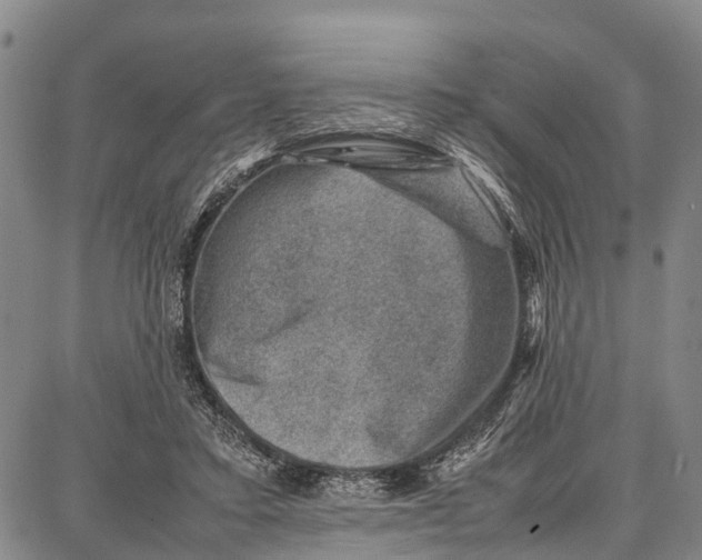 X0000087050403200705091141