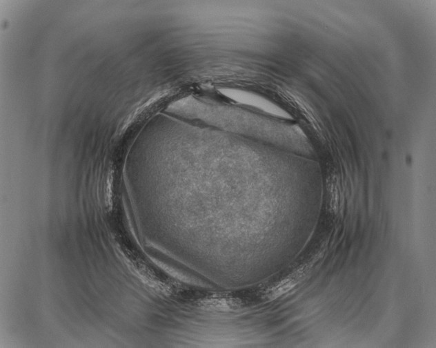 X0000087050404200705091141