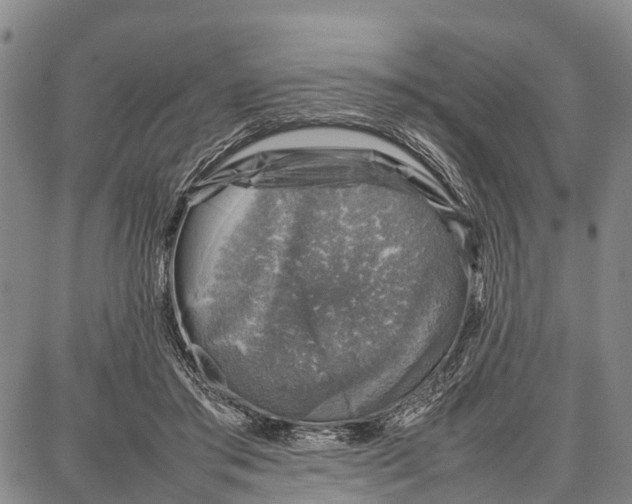 X0000087050405200705091141