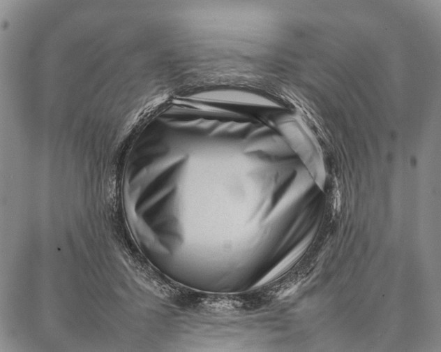 X0000087050407200705091141