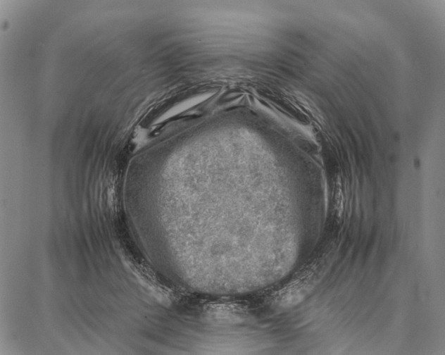 X0000087050408200705091140