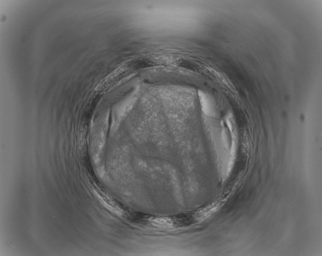 X0000087050409200705091140