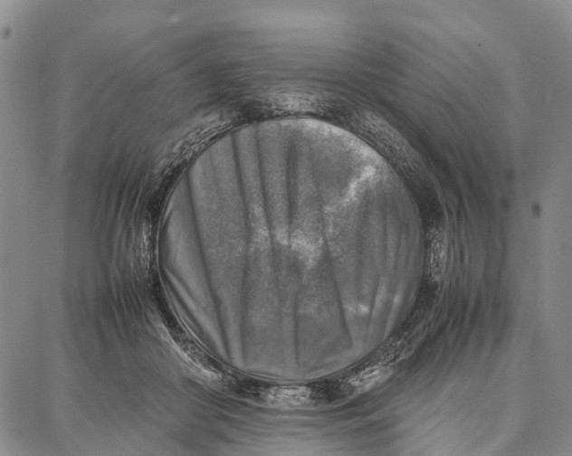 X0000087050410200705091140