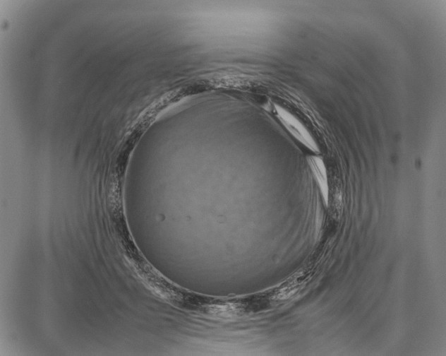 X0000087050411200705091140