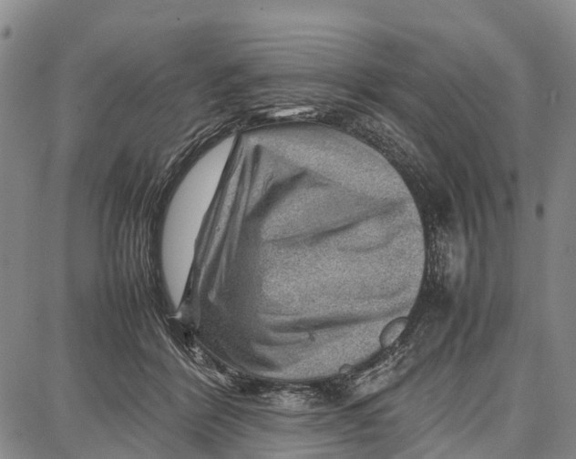 X0000087050412200705091140