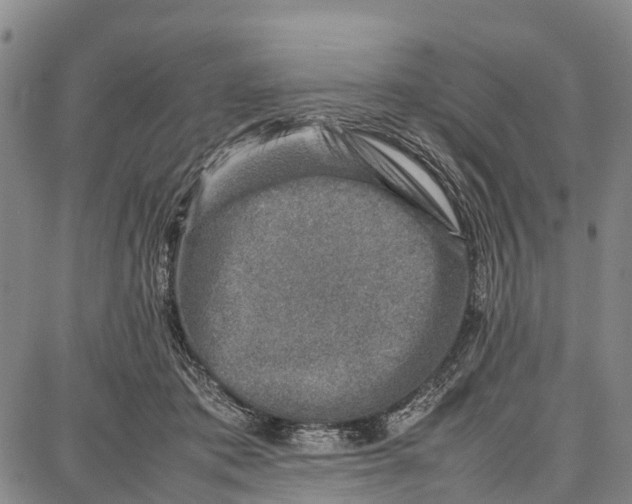 X0000087050413200705091140