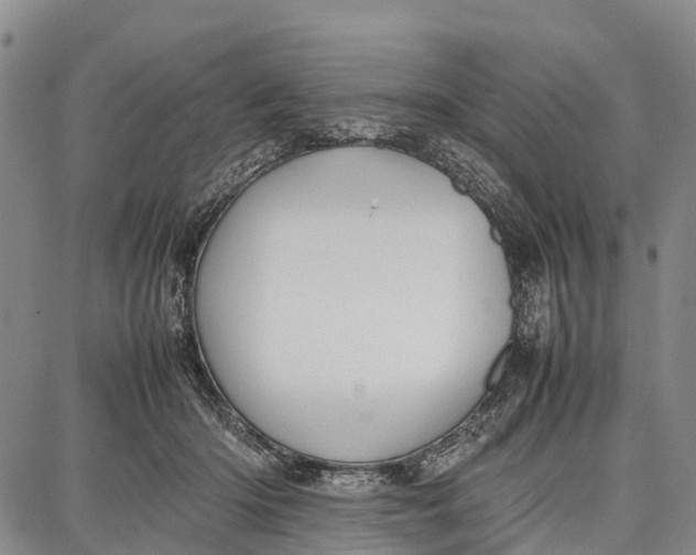 X0000087050414200705091140