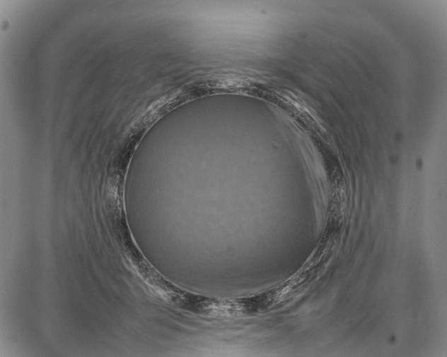 X0000087050415200705091140