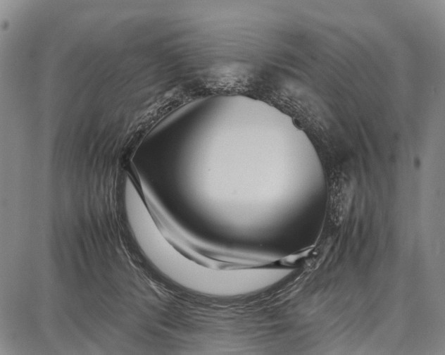 X0000087050416200705091140