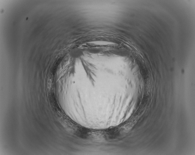 X0000087050417200705091140