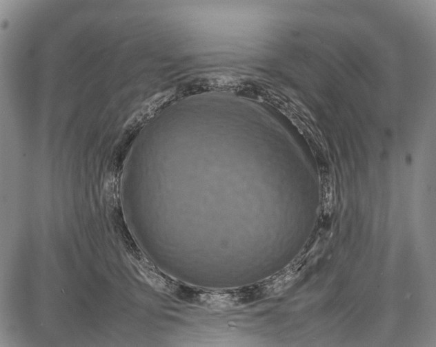 X0000087050419200705091140