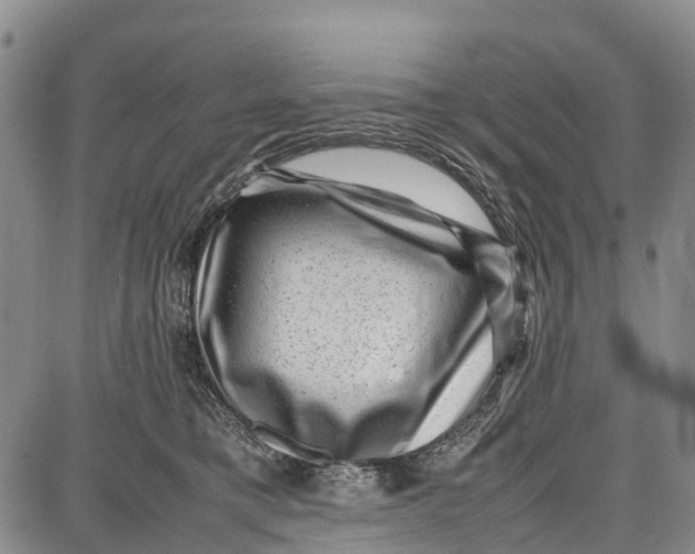 X0000087050421200705091140