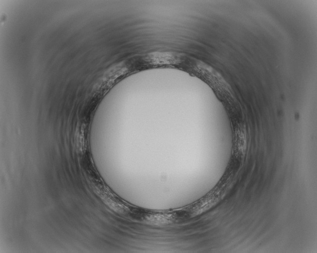 X0000087050422200705091140