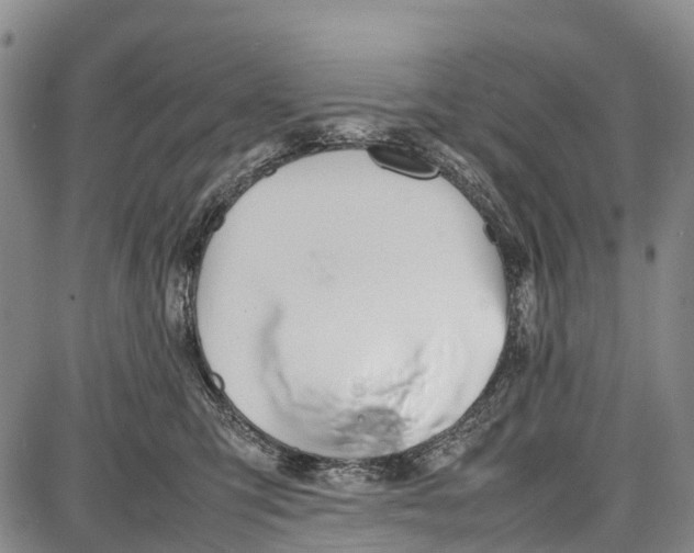 X0000087050423200705091140